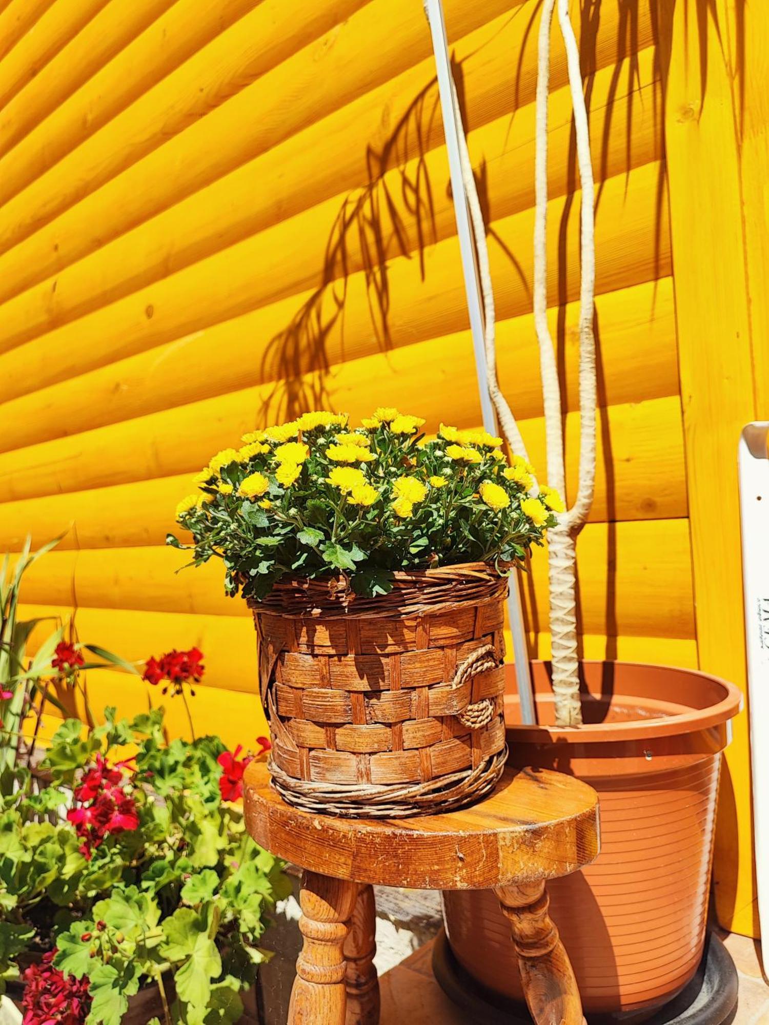 Guest House Nizama'S Place ซาราเยโว ภายนอก รูปภาพ