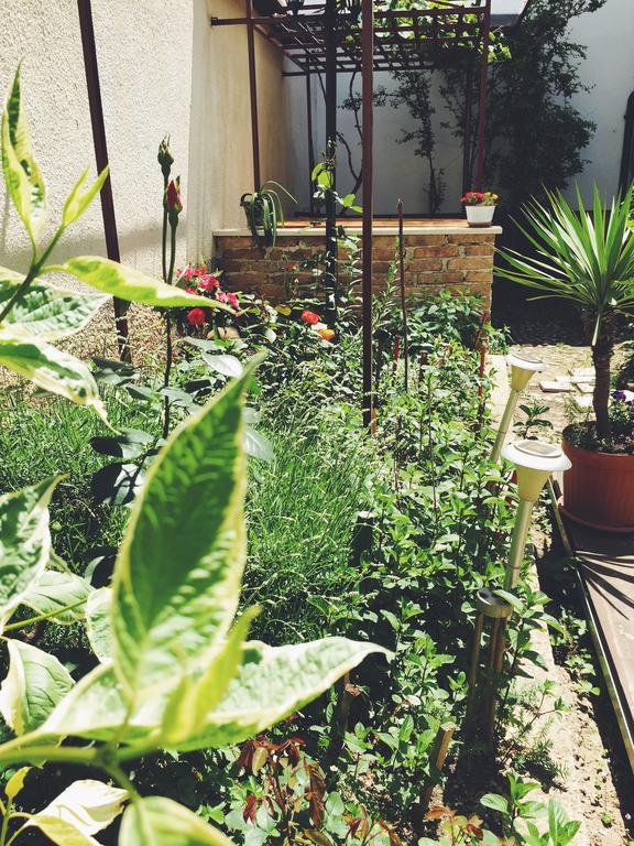 Guest House Nizama'S Place ซาราเยโว ภายนอก รูปภาพ