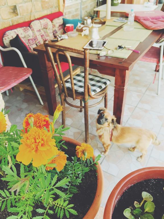 Guest House Nizama'S Place ซาราเยโว ภายนอก รูปภาพ