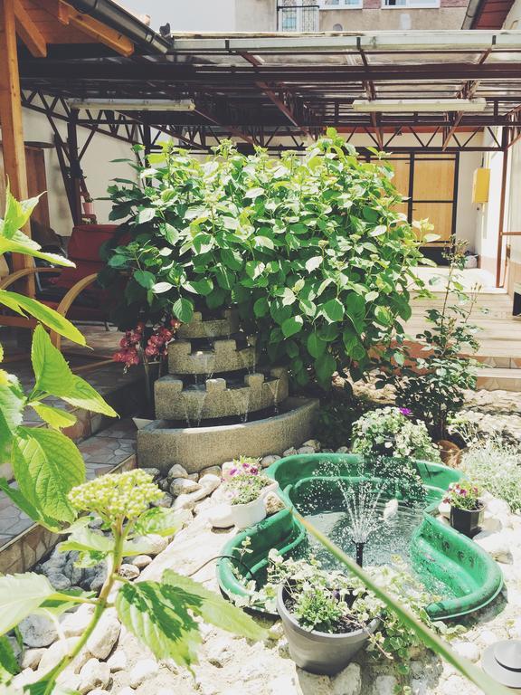 Guest House Nizama'S Place ซาราเยโว ภายนอก รูปภาพ